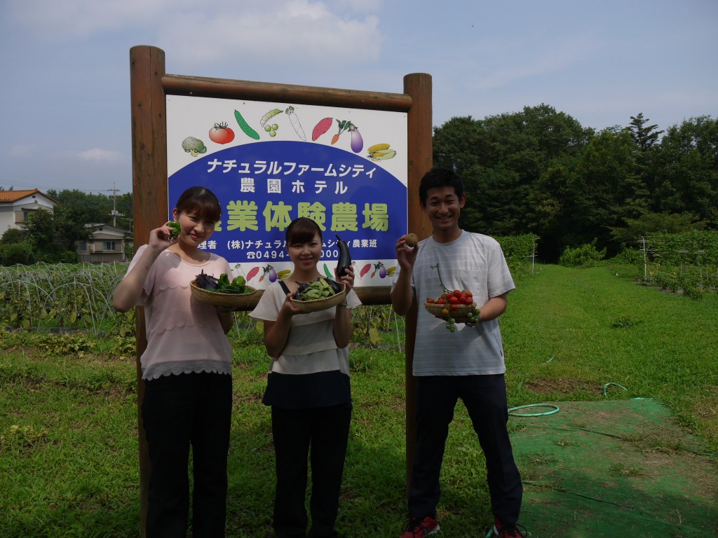 農園野菜園②