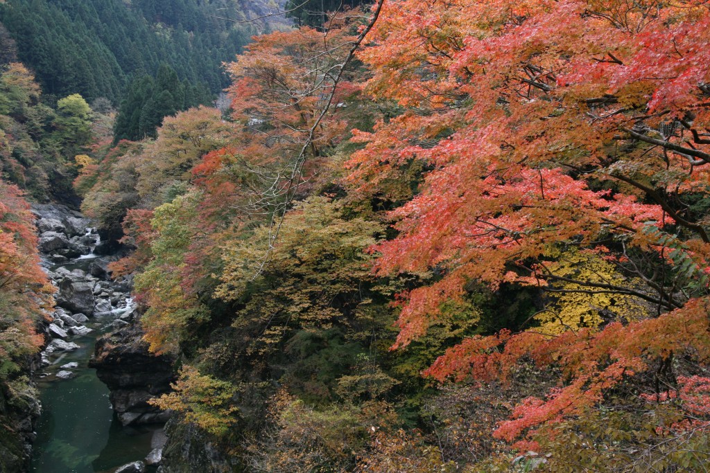 奥秩父紅葉